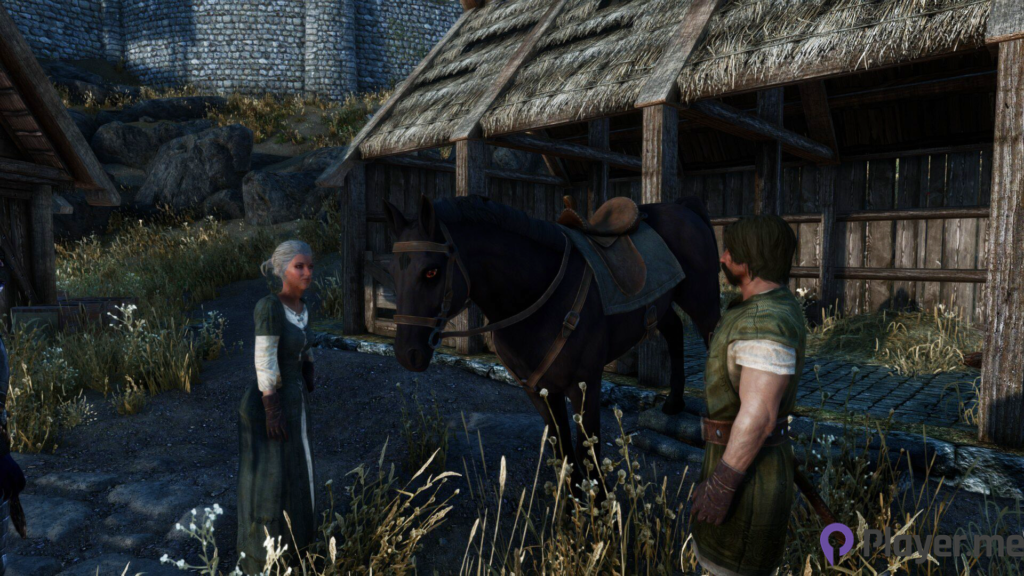 Go to stables to buy horses in Skyrim.