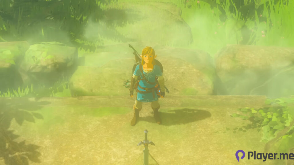 One of the first screenshots of Breath of the Wild.