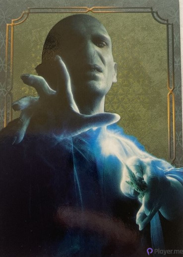 Harry Potter Panini Cards