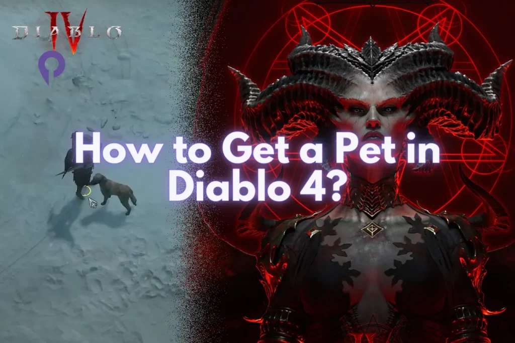How to Get a Pet in Diablo 4