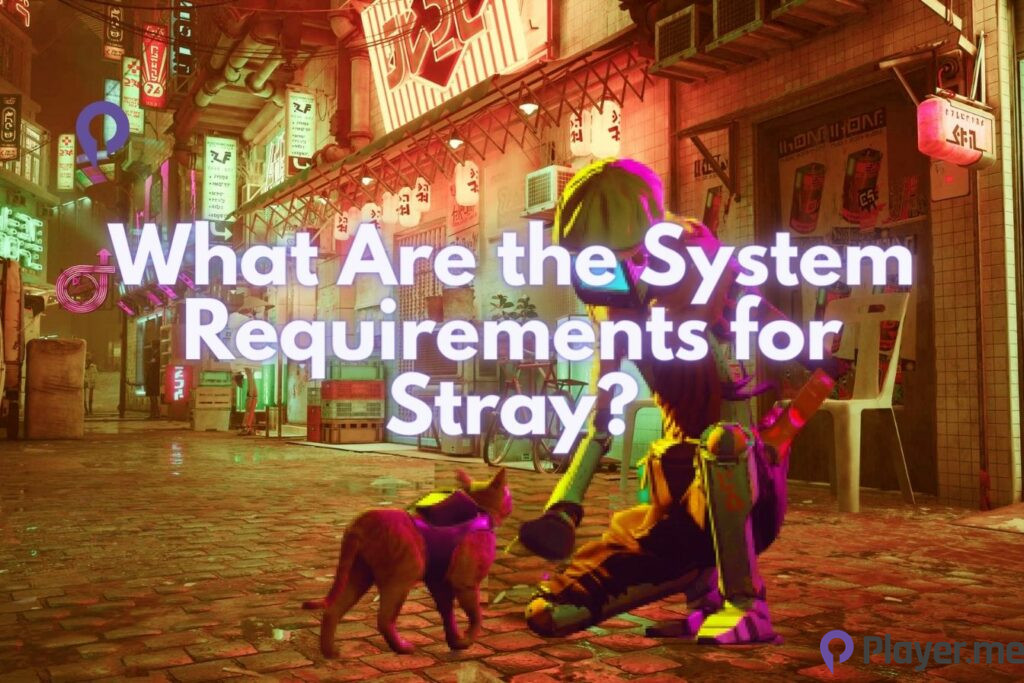 What Are the System Requirements for Stray? What Are the System Requirements for Stray