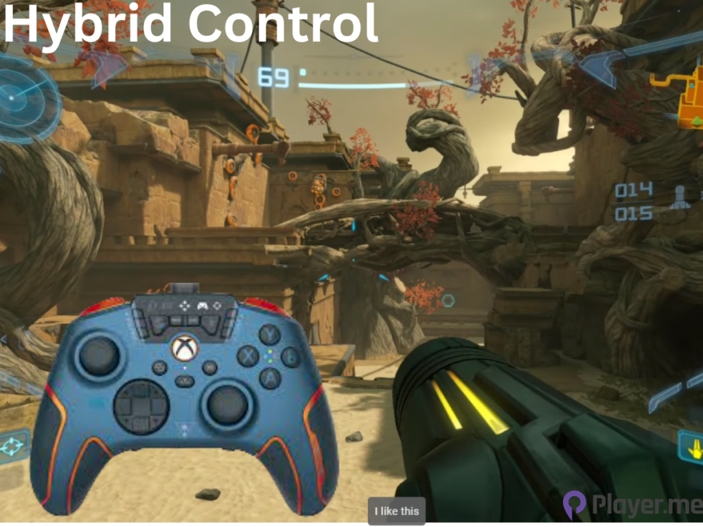 Hybrid Control