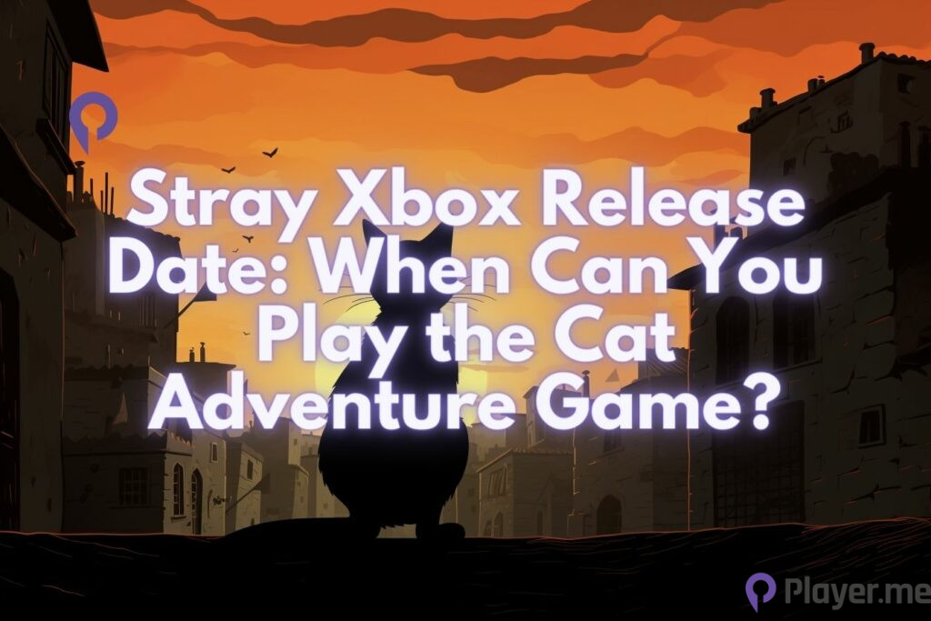 Stray Xbox Release Date When Can You Play the Cat Adventure Game