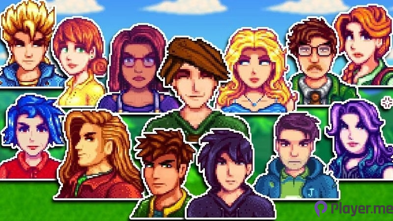 5 Best Marriage Candidates Among Stardew Valley Characters (1)