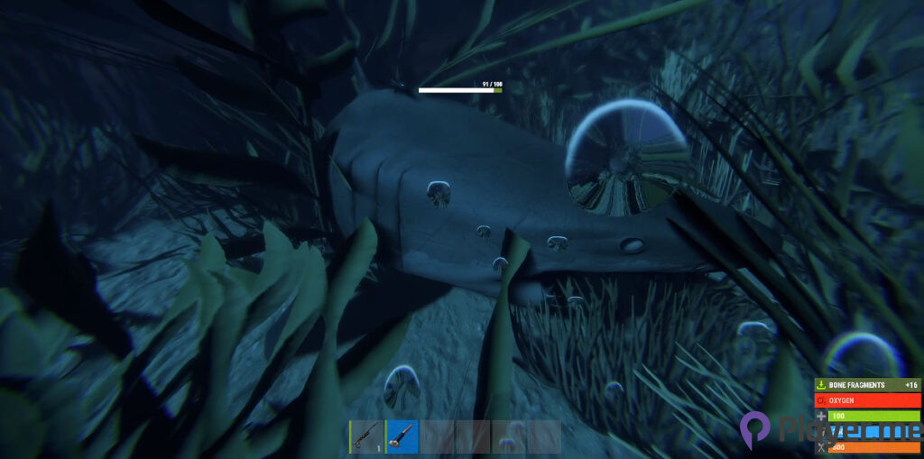 Surviving Shark Encounters