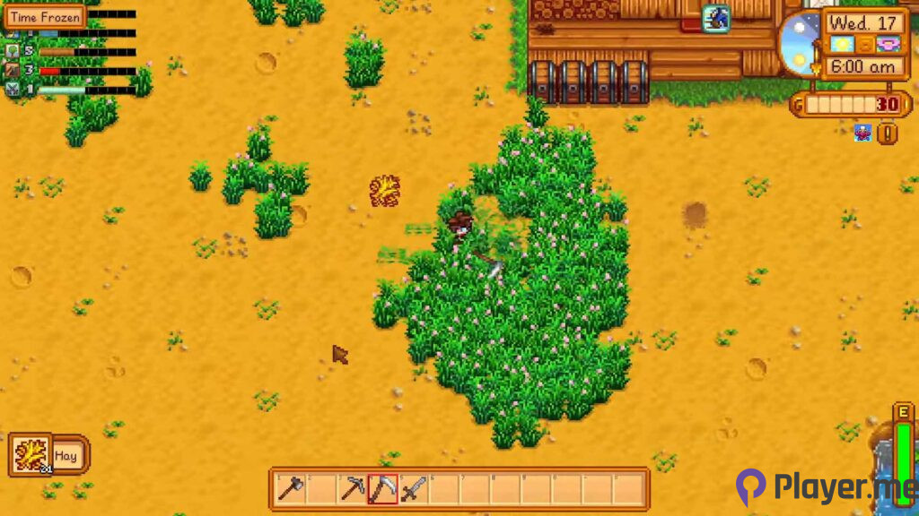 Get Hay Out in Stardew Valley
