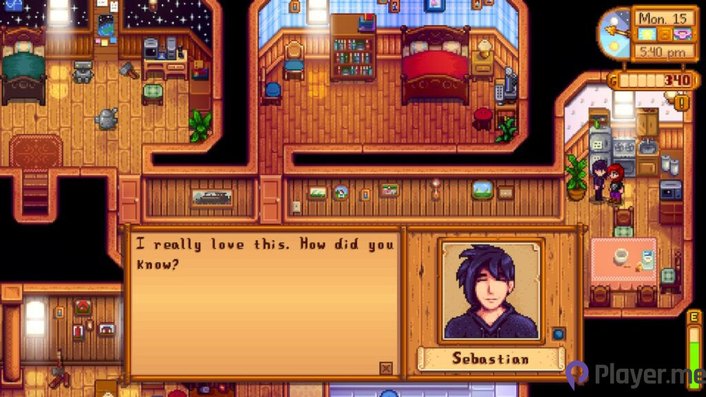 5 Best Marriage Candidates Among Stardew Valley Characters (6)