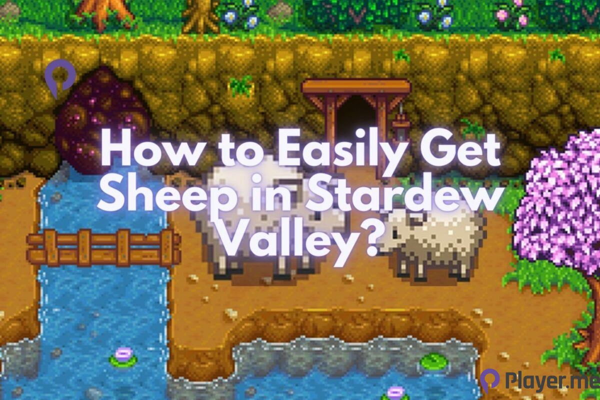 How to Easily Get Sheep in Stardew Valley? Player.me