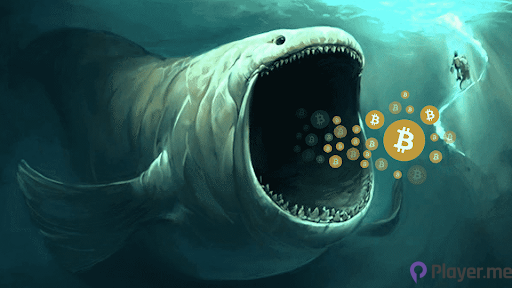 Crypto Whale Loses $24M in Staked Ethereum to Phishing Attack
