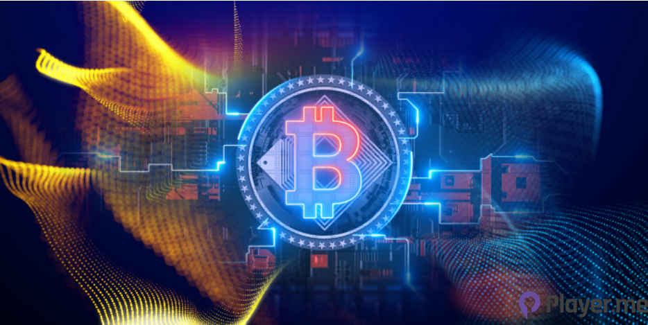 Exciting News: Crypto Whale Meetup Will Be Held in Dubai This October