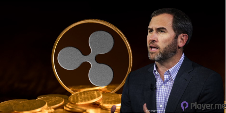 Ripple CEO Emphasises the Need for Clear Crypto Policies