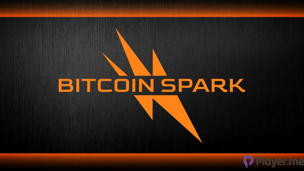 Transforming From Novice to Expert in Cryptocurrency with Bitcoin Spark, Zilliqa, and PancakeSwap