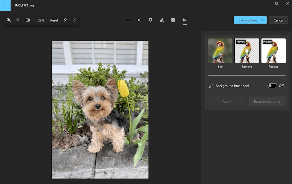5 Improving Enhancements in Windows Photos: New Background Removal and More