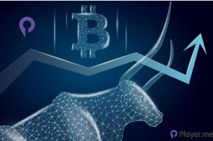 Bitcoin Hits $44,000, Achieving Highest Value Since April 2022 Bitcoin Hits $44,000, Achieving Highest Value Since April 2022