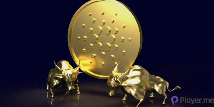 Best Altcoins for Users Looking To Diversify Crypto Portfolios in 2024