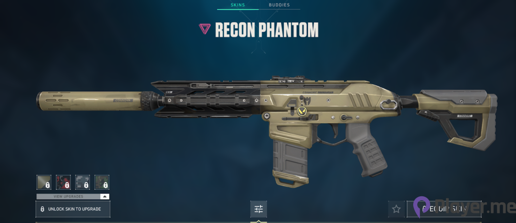 10 Best Phantom Skins in Valorant (4)