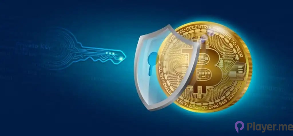 5 Vital Crypto Habits to Shield Against AI Scams in 2024: Fortify Your Financial Future