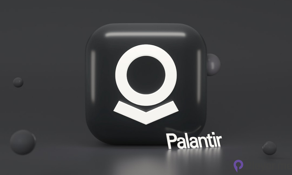 Palantir Stock Rally Indicates Continued Investor Appetite for AI Innovation (5)