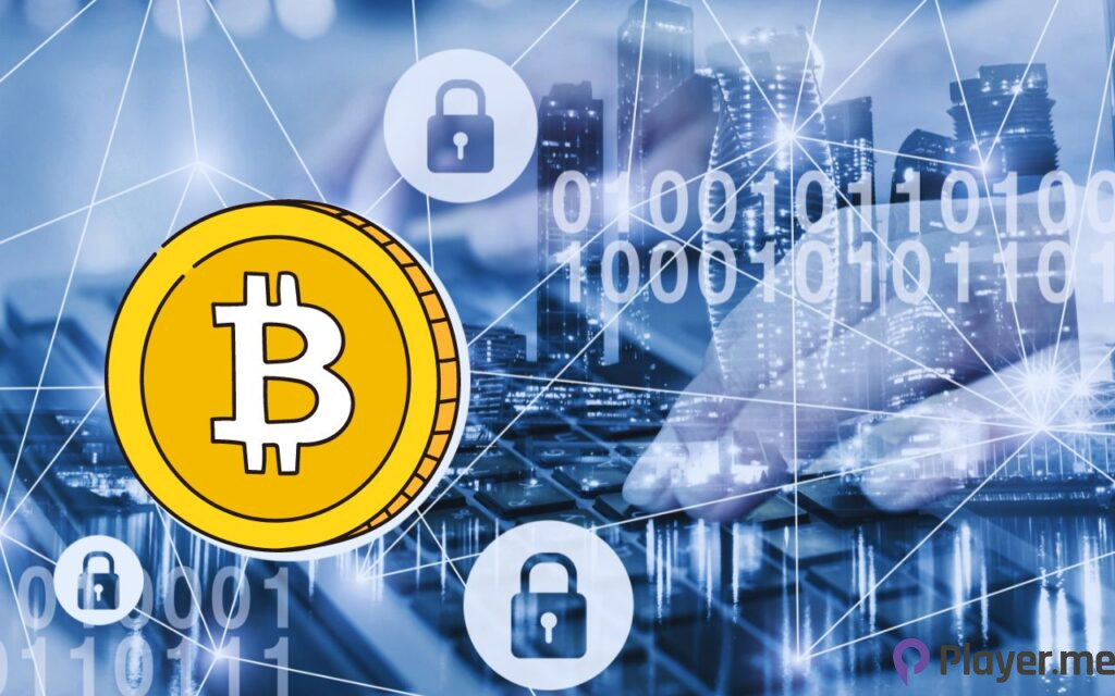 Best Privacy Coins of 2024