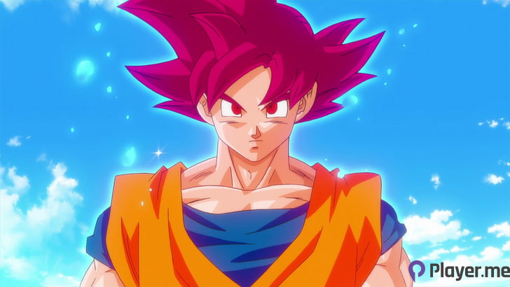 Which of These 11 Super Saiyan Transformations Is the Most Captivating? (4)